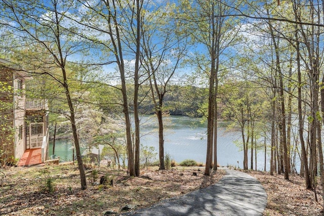 806 Cedar Key Ln, Huddleston, VA 24104 - water view
