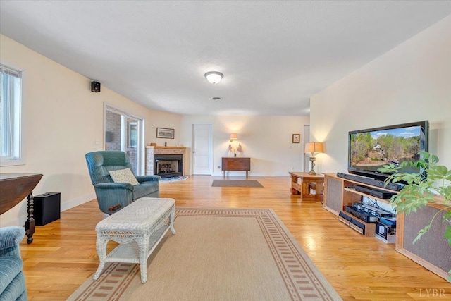 806 Cedar Key Ln, Huddleston, VA 24104 - living area featuring a fireplace and light wood-type flooring