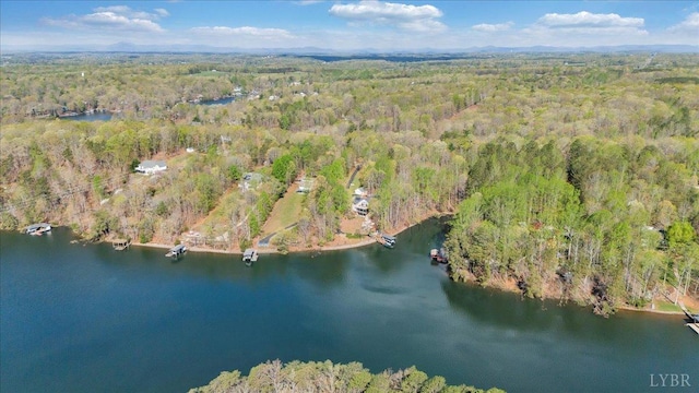 806 Cedar Key Ln, Huddleston, VA 24104 - aerial view of property and surrounding area with a forest and a large body of water
