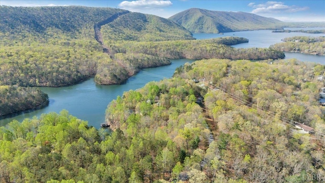 806 Cedar Key Ln, Huddleston, VA 24104 - aerial view of a water and mountain view