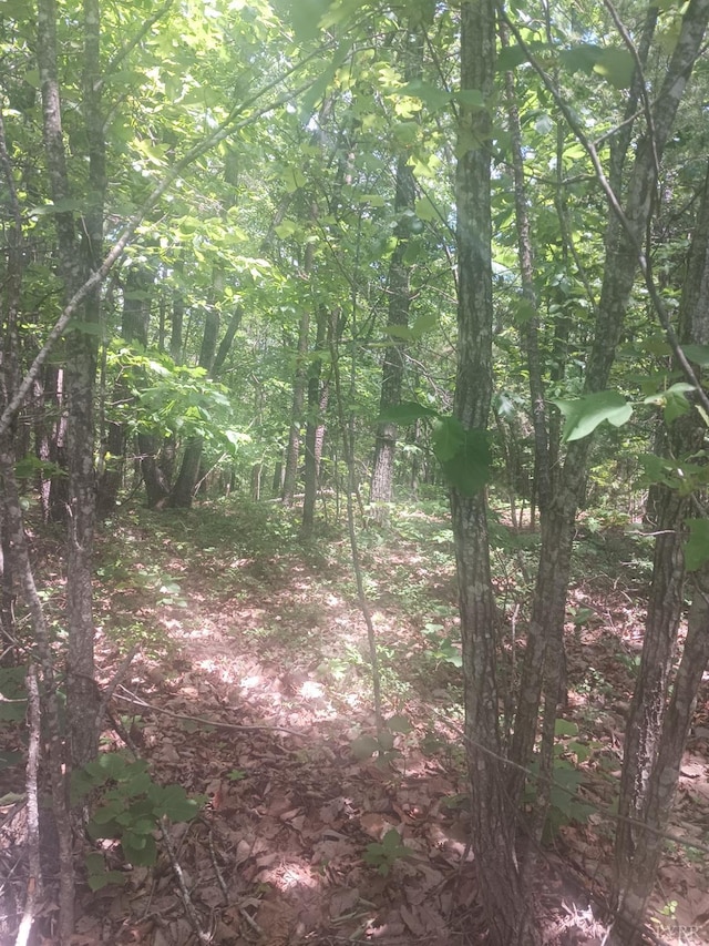 1 Harbor Dr, Hurt, VA 24563