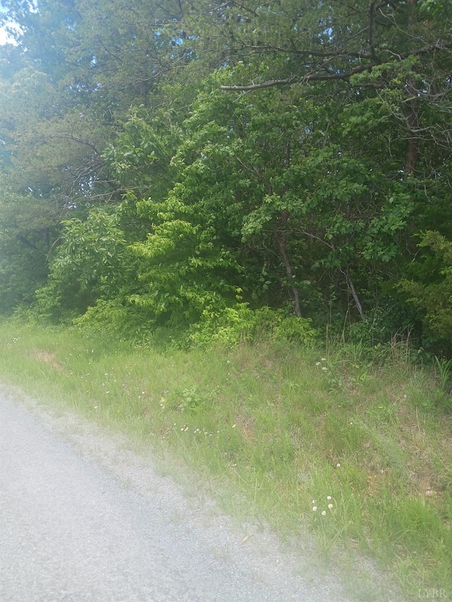 1 Harbor Dr, Hurt, VA 24563