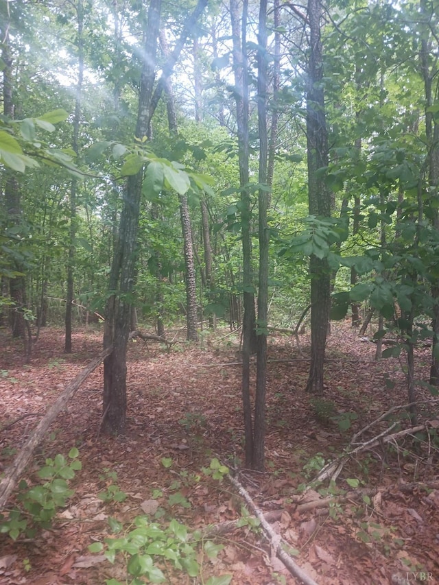 1 Harbor Dr, Hurt, VA 24563