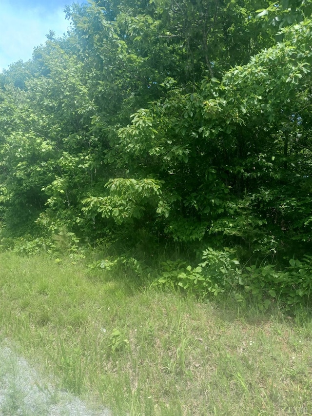 1 Harbor Dr, Hurt, VA 24563
