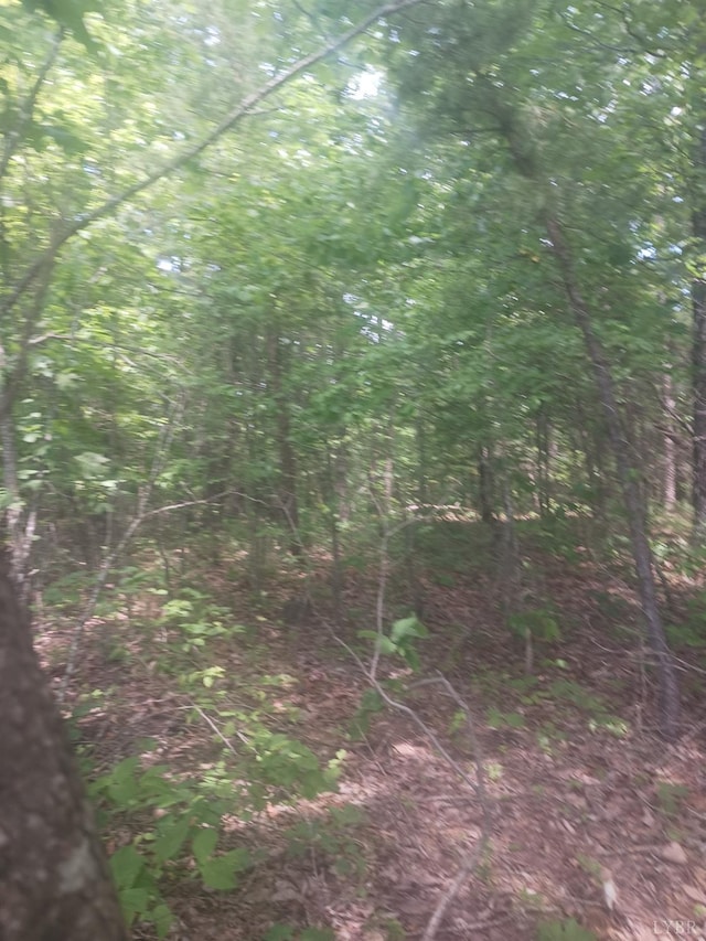 1 Harbor Dr, Hurt, VA 24563