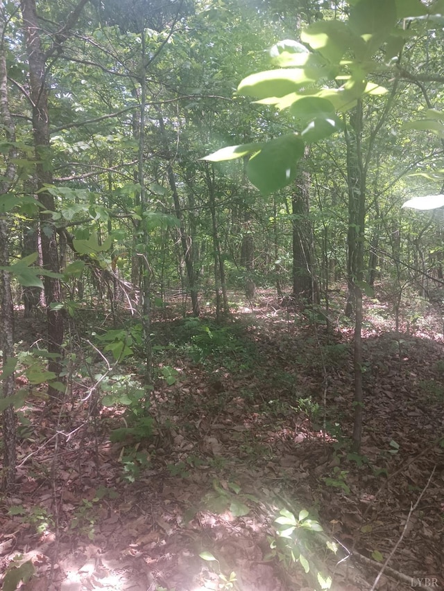 1 Harbor Dr, Hurt, VA 24563
