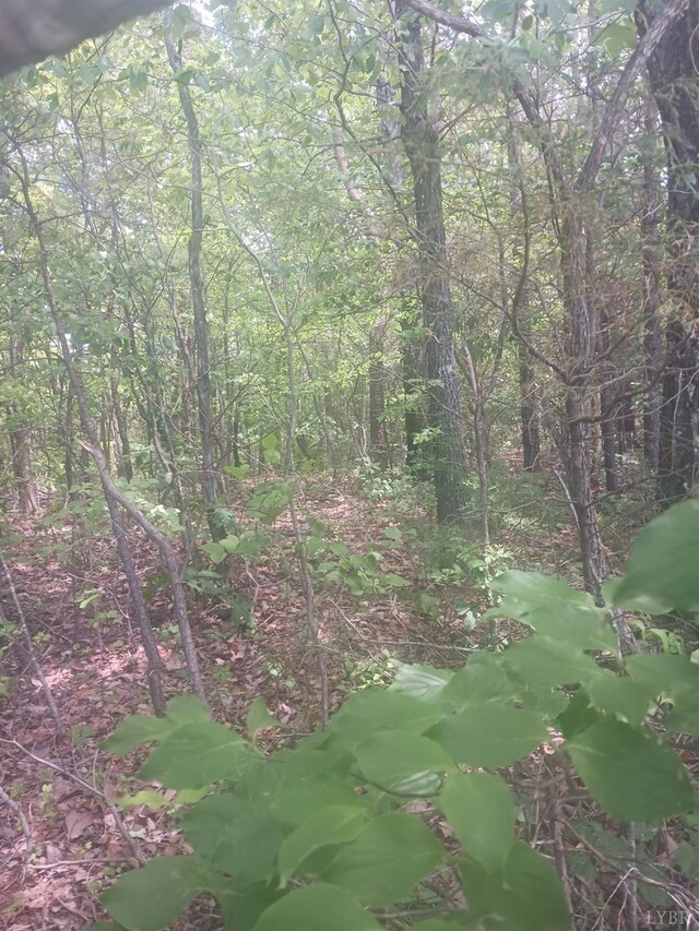 1 Harbor Dr, Hurt, VA 24563