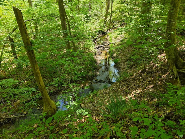 0 Holiday Lake Rd, Appomattox, VA 24522 - photo 11