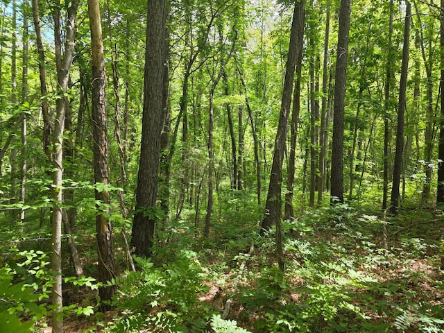 0 Holiday Lake Rd, Appomattox, VA 24522 - photo 2