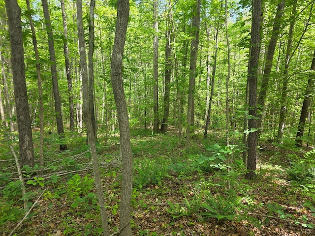 0 Holiday Lake Rd, Appomattox, VA 24522 - photo 3