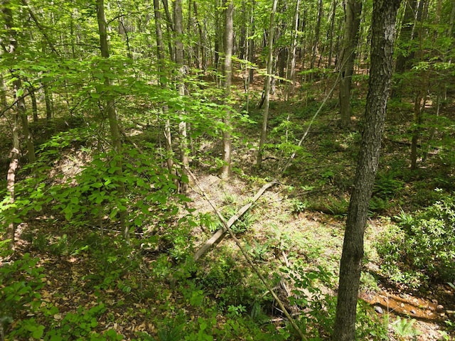 0 Holiday Lake Rd, Appomattox, VA 24522 - photo 4