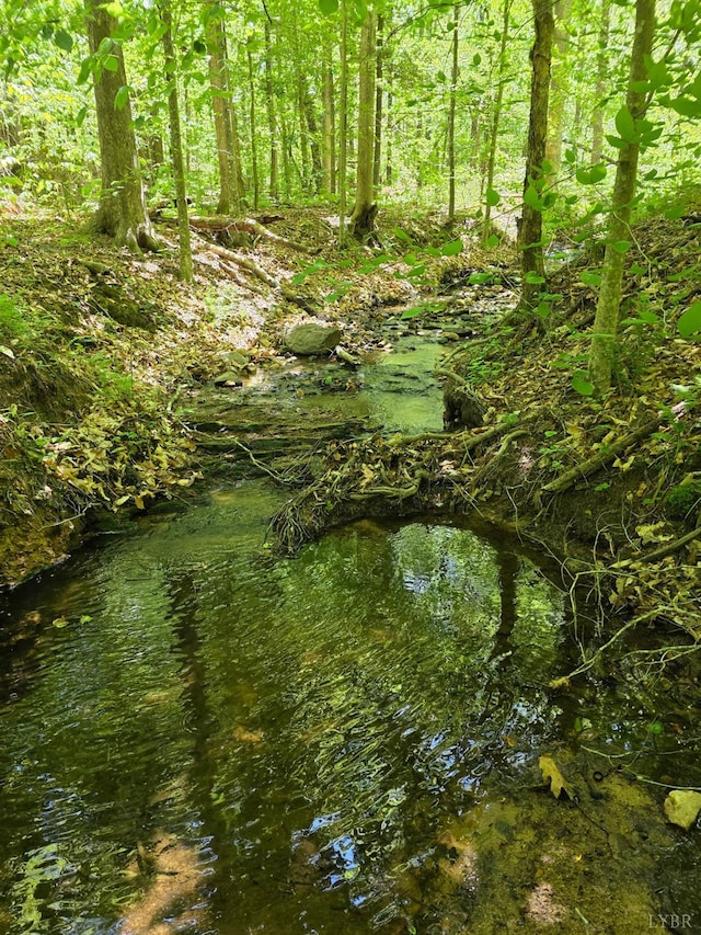 0 Holiday Lake Rd, Appomattox, VA 24522 - photo 1