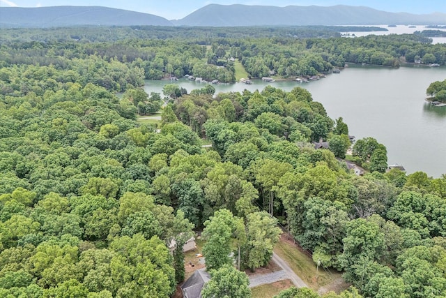 1309 W Pine Ridge Rd, Huddleston, VA 24014 - bird's eye view of a forest and a water and mountain view