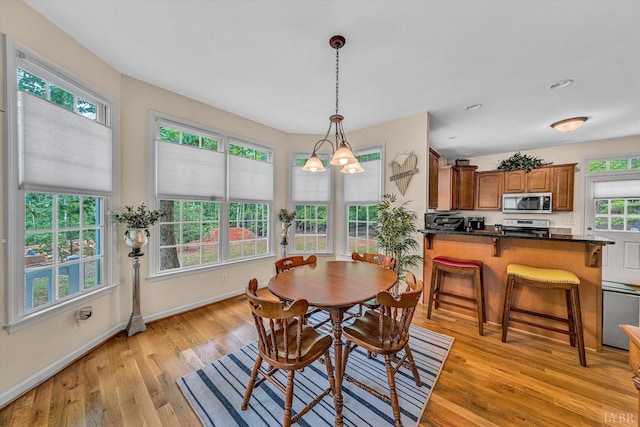 1309 W Pine Ridge Rd, Huddleston, VA 24014 - dining room with light wood-style floors and baseboards