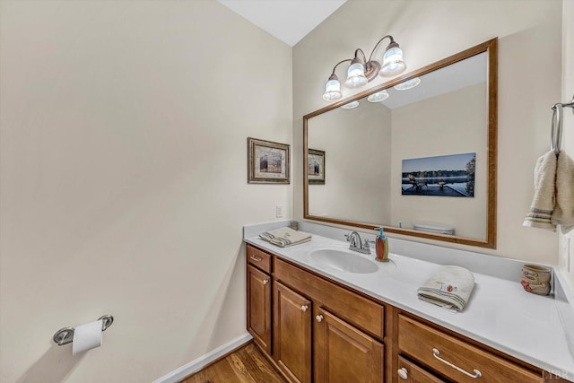 1309 W Pine Ridge Rd, Huddleston, VA 24014 - bathroom with wood finished floors and vanity