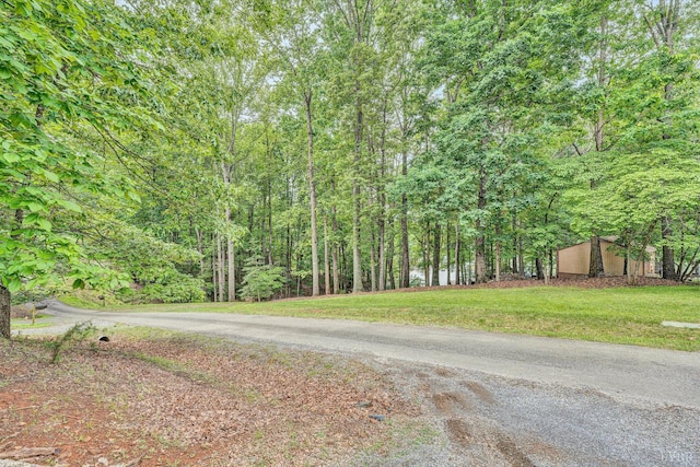 1309 W Pine Ridge Rd, Huddleston, VA 24014 - view of road with a forest view