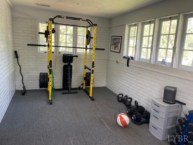 202 Leftwich St, Gretna, VA 24557 - workout area with healthy amount of natural light, carpet floors, and brick wall