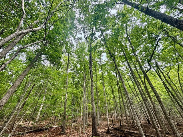 0 Otterwood Ct, Evington, VA 24550 - photo 1