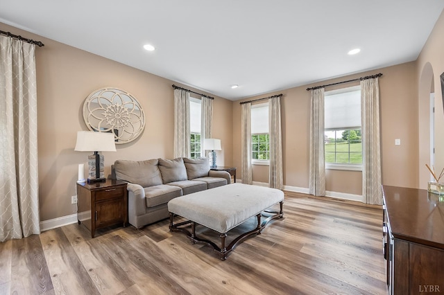 3374 Goode Station Rd, Goode, VA 24556 - living room featuring light wood finished floors, baseboards, recessed lighting, and arched walkways