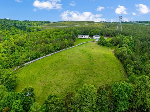 491 Pacoman Rd, Evington, VA 24550 - photo 2