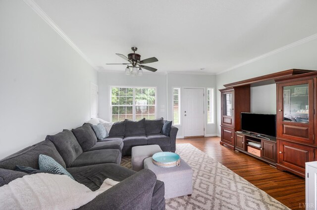 491 Pacoman Rd, Evington, VA 24550 - photo 23