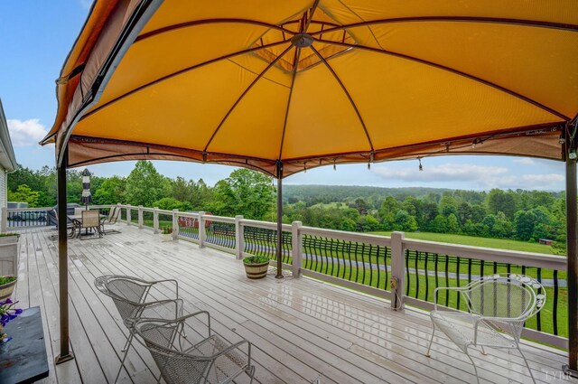 491 Pacoman Rd, Evington, VA 24550 - photo 62