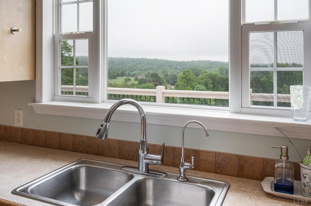 491 Pacoman Rd, Evington, VA 24550 - photo 65