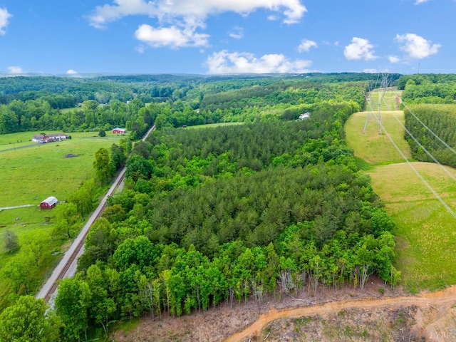 491 Pacoman Rd, Evington, VA 24550 - photo 71