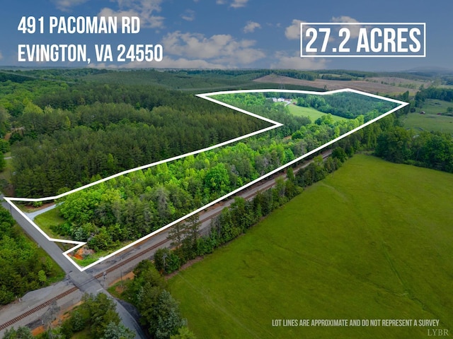 491 Pacoman Rd, Evington, VA 24550 - photo 4