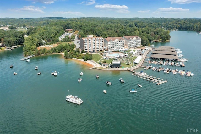 4 Golf View Ct, Huddleston, VA 24104 - bird's eye view of a forest and a nearby body of water