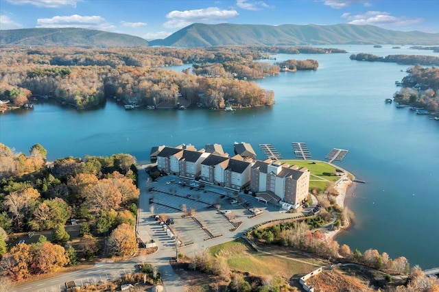 4 Golf View Ct, Huddleston, VA 24104 - bird's eye view of a water and mountain view