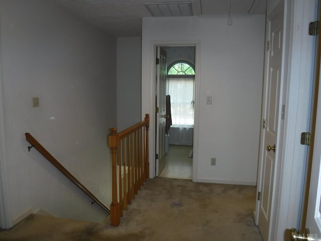 1184 Abbey Pl, Forest, VA 24551 - photo 33