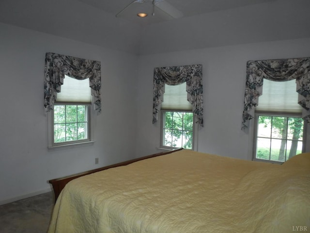1184 Abbey Pl, Forest, VA 24551 - photo 46