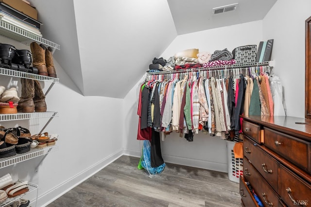 314 Cooper Way, Evington, VA 24550 - spacious closet with wood finished floors and lofted ceiling