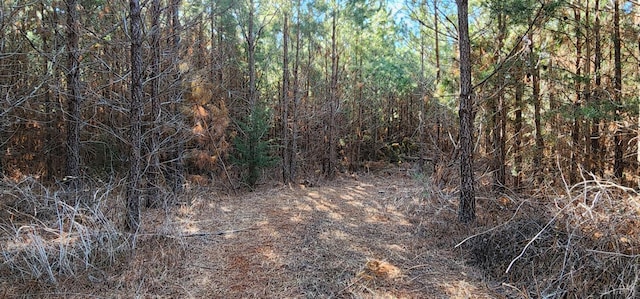0 Cameron Ln, Nathalie, VA 24577