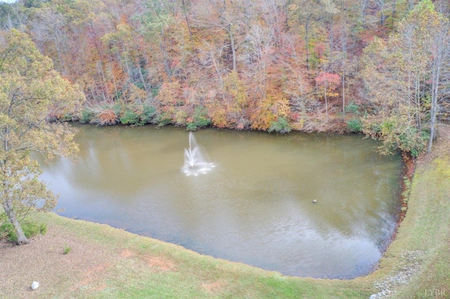 450 Holyfield Ln, Moneta, VA 24121 - water view