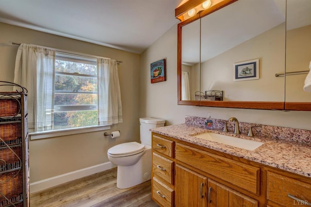 450 Holyfield Ln, Moneta, VA 24121 - bathroom with wood finished floors, healthy amount of natural light, vanity, and lofted ceiling