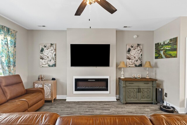 19 Cuddington Ln, Lynchburg, VA 24501 - living room featuring a ceiling fan, wood finished floors, baseboards, and a glass covered fireplace