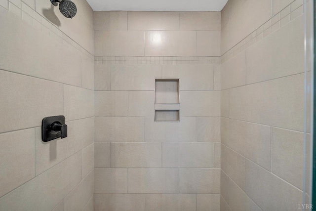 1197 Elk Creek Rd, Forest, VA 24551 - bathroom view of tiled shower