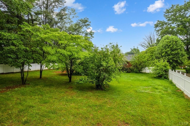 5822 Apache Ln, Lynchburg, VA 24503 - view of yard