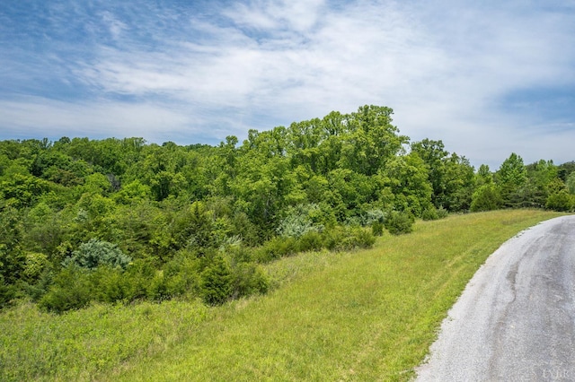 0 Meadow Grove Dr, Lexington, VA 24550 - photo 3