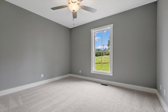 8638 Hat Creek Rd, Brookneal, VA 24528 - photo 6