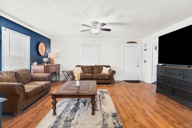 278 Tallyho, Concord, VA 24538 - living area featuring a ceiling fan, a textured ceiling, ornamental molding, and light wood-type flooring