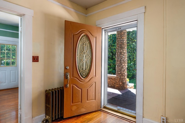 264 N Five Forks Rd, Amherst, VA 24521 - foyer entrance featuring radiator, plenty of natural light, wood finished floors, and crown molding