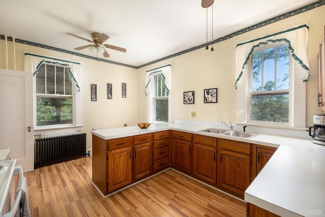 264 N Five Forks Rd, Amherst, VA 24521 - kitchen with radiator heating unit, a sink, brown cabinetry, light wood-type flooring, and plenty of natural light