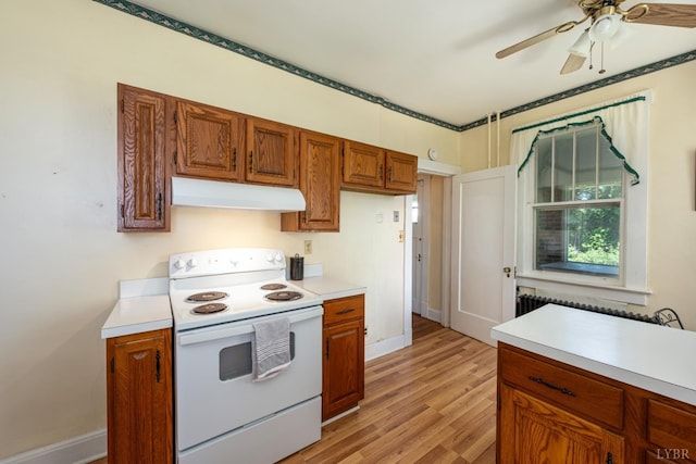 264 N Five Forks Rd, Amherst, VA 24521 - kitchen featuring white electric stove, ventilation hood, light countertops, and light wood-style floors