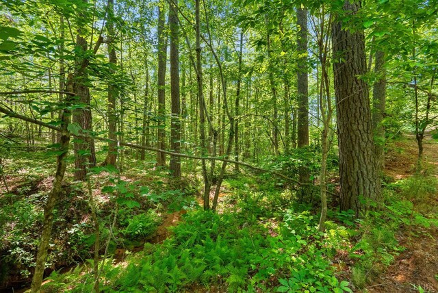 4042 Norwood Rd, Gladstone, VA 24553