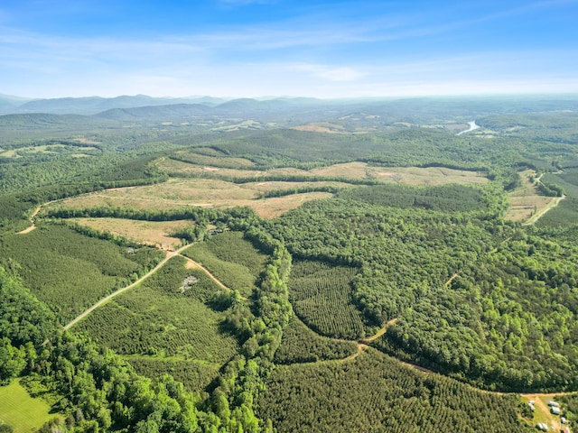 4042 Norwood Rd, Gladstone, VA 24553