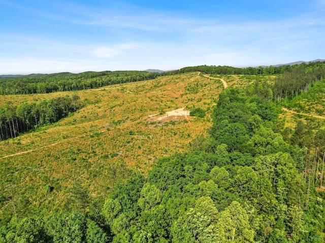 4608 Norwood Rd, Gladstone, VA 24553