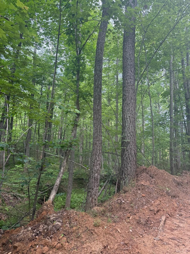 4608 Norwood Rd, Gladstone, VA 24553